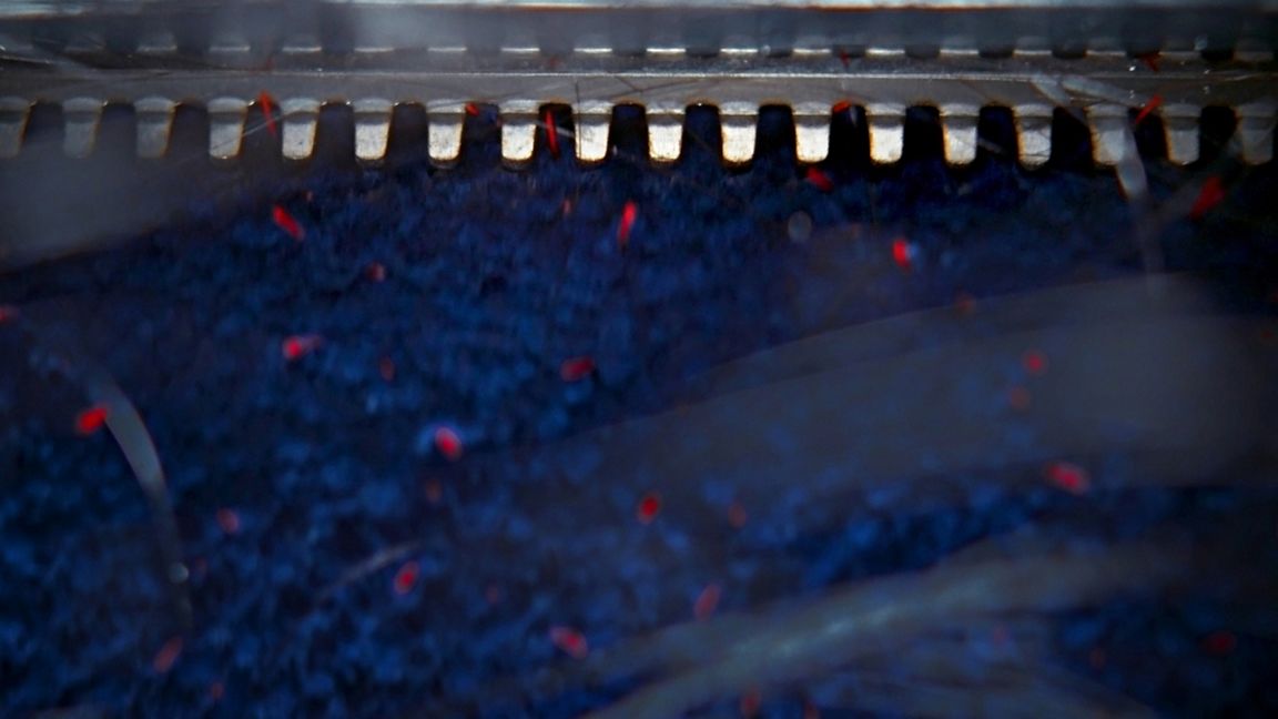 Clean+Wash Hygiene-reiniger voor harde vloeren