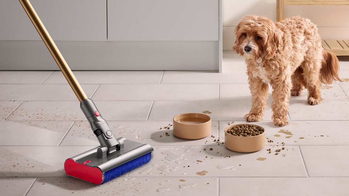 Dyson V12s Detect Slim Submarine™